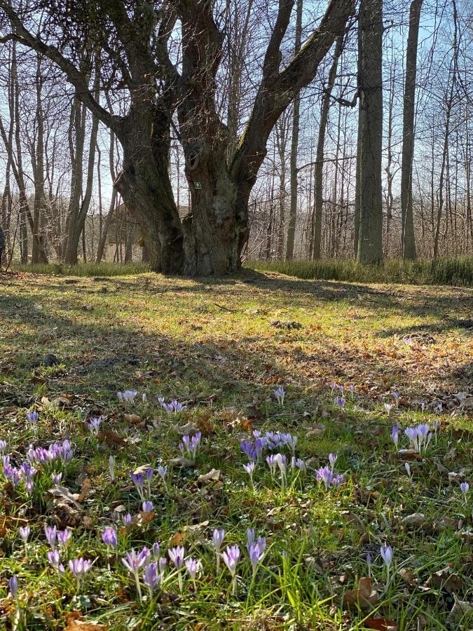 Ziemupes Muiza & Spa Dış mekan fotoğraf